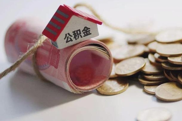 哈尔滨公积金提取中介（公积金提取中介手续费）